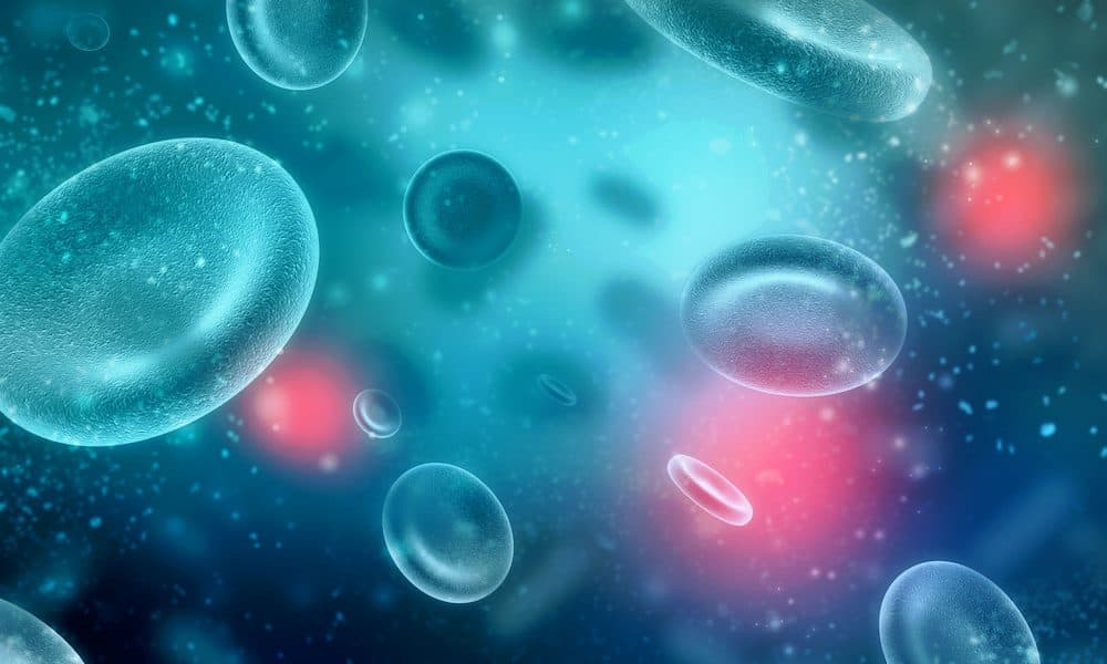 Engineered immune cells may be able to tame inflammation