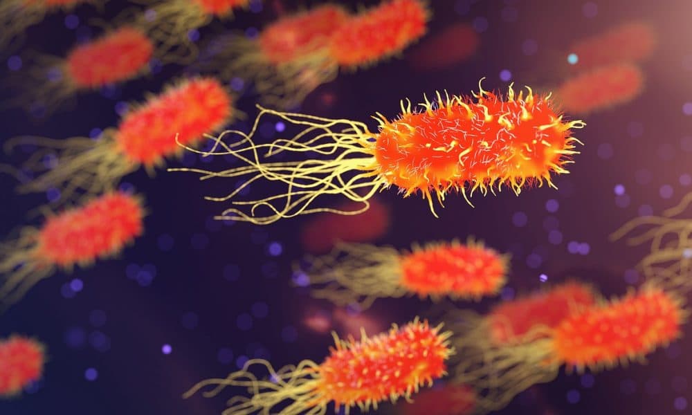 Researchers kill bugs with nanoparticles