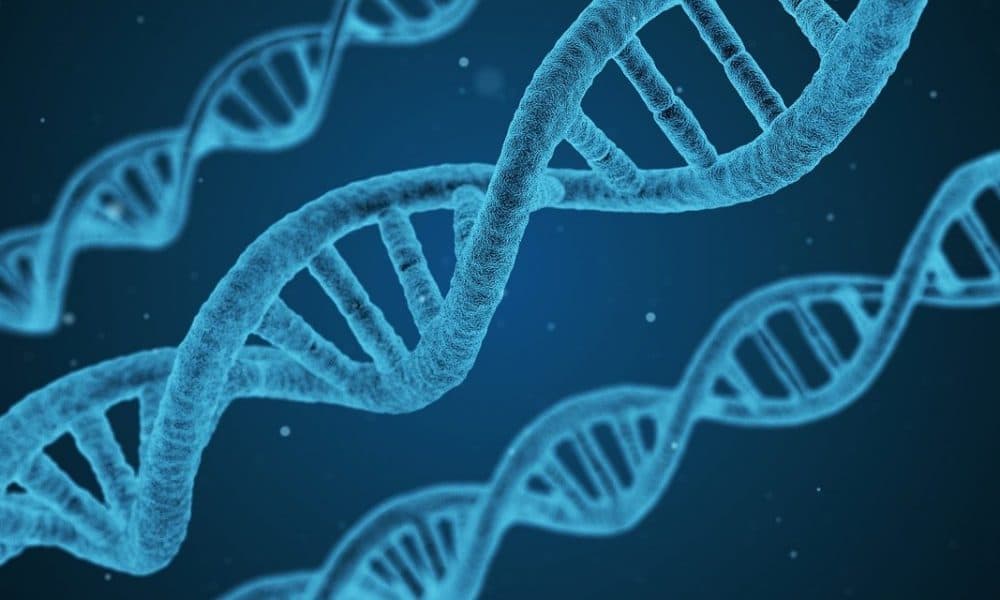ABHI US Accelerator expands offer for 2022