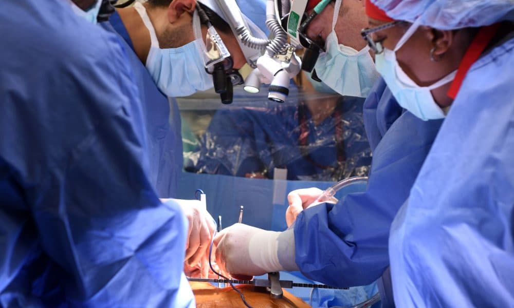 Man receives pig heart in world-first transplant