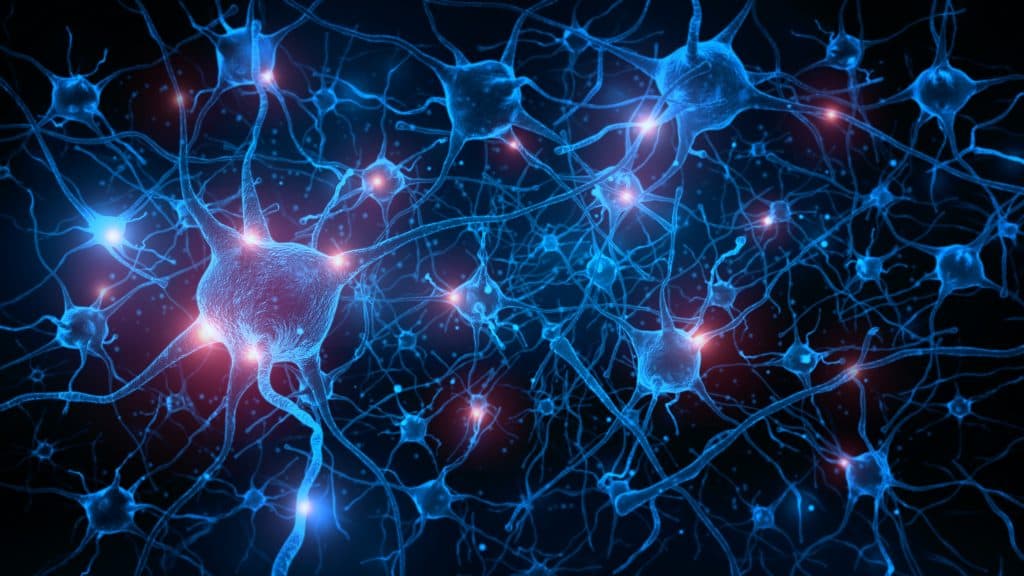 Nanobody